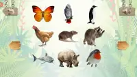 Mes animaux - jeux pour enfants Screen Shot 7