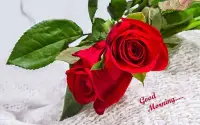 Good morning Flower Images Colorful Roses 4K Screen Shot 0