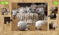 Cats Jigsaw Puzzles Game Screen Shot 1