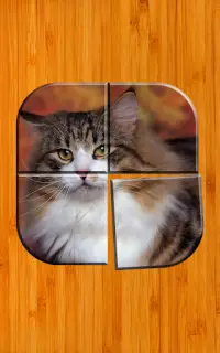 고양이 퍼즐 게임 무료 Screen Shot 5