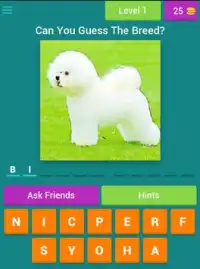 Guess The Dog Breeds Most Popular Dog Breeds Quiz Screen Shot 12