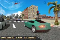 3D City School Driving Simulator Screen Shot 3