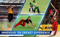 T20 الكريكيت ابطال اوروبا 3D Screen Shot 19