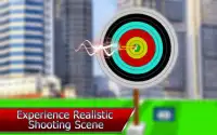 Archery Target Shooting Sim Screen Shot 1