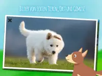 Tiere & Farm, Spiel für Kinder Screen Shot 8
