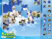Animated Puzzles Star Screen Shot 5