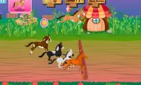 Horse Racing Mania - Girl game Screen Shot 3