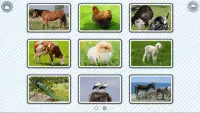107 Animals - Free Screen Shot 1