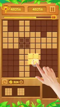 Block Puzzle - Wood Classic Screen Shot 0