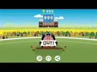 IPL Cricket Game Screen Shot 0