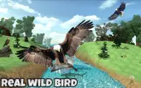 Ultimate Eagle Simulator 3d Screen Shot 2