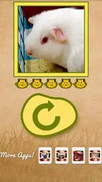 What hamster are you? Screen Shot 3