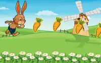 кролик ферма приключение Screen Shot 3