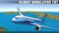 Flight Simulator 787 Screen Shot 0