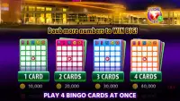 Lucky North Casino Games Screen Shot 7