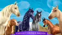 Horse Riding Tales - Wild Pony Screen Shot 0