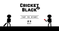 Blind Cricket Black Screen Shot 0