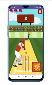 Cricket game Screen Shot 1