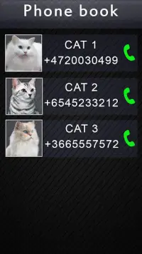 Video Fake Call Cat Screen Shot 1
