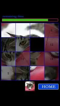 CAT15Puzzle free Screen Shot 2