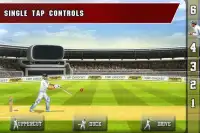 Tap Cricket 2013 Screen Shot 1