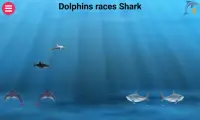 Dolphins races Sharks Screen Shot 4