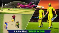 Cricket Champions Cricket Game Screen Shot 1