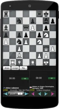 Standard Chess Screen Shot 2