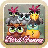 Bird Funny Match