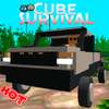Cube Survival Online