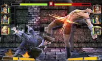 Chiến đấu bất diệt 3D - Champion Fight Screen Shot 2