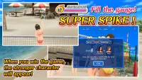 Beach Volleyball Paradise Screen Shot 3