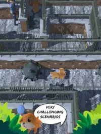 Wild Squad: Aventura Animal Screen Shot 7