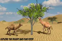 Игра симулятор верблюда Screen Shot 3