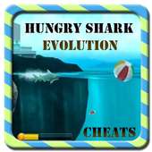 Guide Hungry Shark 2016