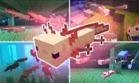 Axolotls Mod voor Minecraft PE Screen Shot 0