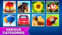 Puzzles: Jigsaw Puzzle Games Screen Shot 2