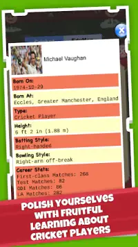 Cricket Players Jigsaw Puzzle Screen Shot 3