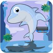🐬 dolphin show games