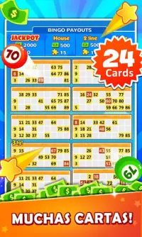 Bingo Win Cash Screen Shot 4