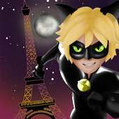 Adventures Miraculous Cat Noir