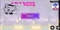 Amy rose vs sonic race Screen Shot 0