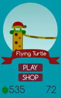 Flying Turtle Screen Shot 1