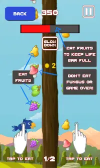 Hungry Bird Game Screen Shot 4