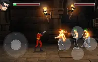 Robine Superhero Fighting Games: City Kung Fu Screen Shot 2