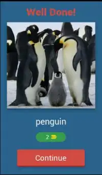 1 Pic 1 Word Animals Quiz Screen Shot 1