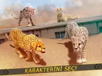 Leoparlar karşı Aslanlar - Vahşi Savan Yarış Screen Shot 5