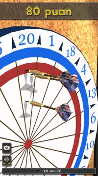 Pro Darts 2023 Screen Shot 4