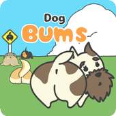 Dog Bums