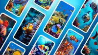 Fish Wallpapers 4K Screen Shot 0